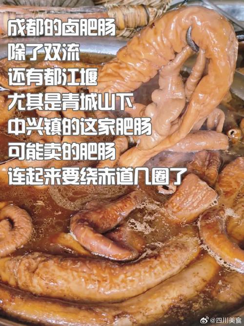 成都美食小吃肥肠肉，成都肥肠汤老字号？  第3张