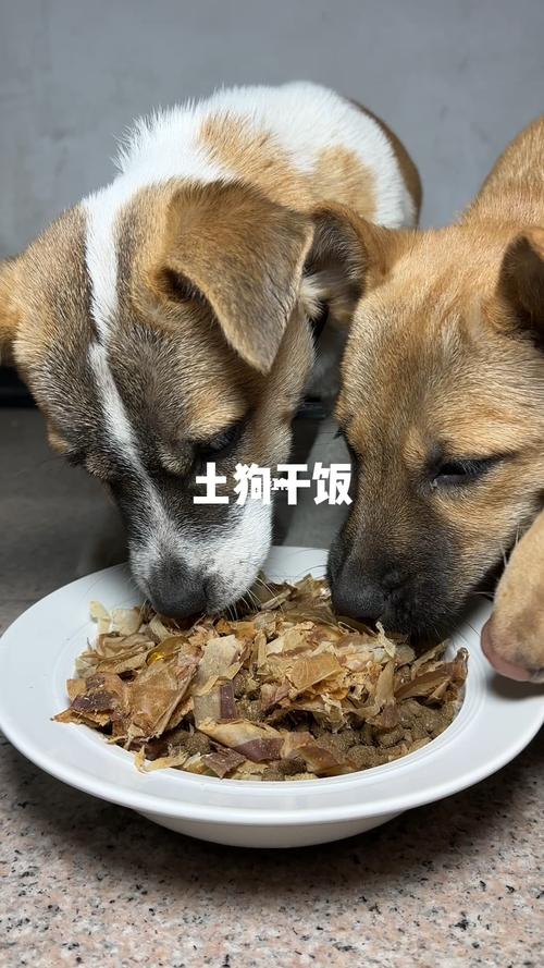 四川美食栏目推荐品牌，四川美食栏目排名榜？  第6张