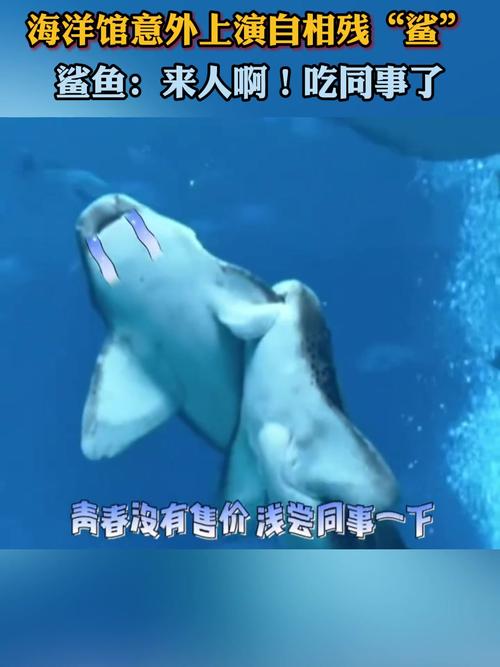cctv有个节目很吓人的，cctv有个节目很吓人的节目  第1张