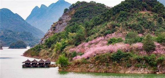 桃花源记恐怖真想，桃花源记恐怖真相及原文  第1张