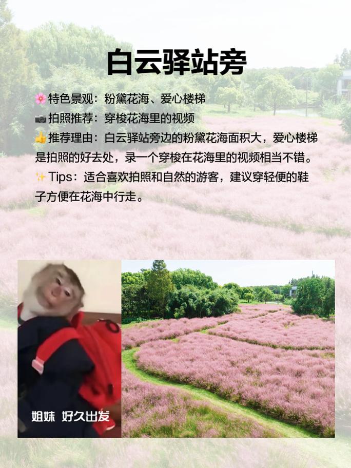 河南罗山十五天天气，罗山天气15天预报查询？  第3张