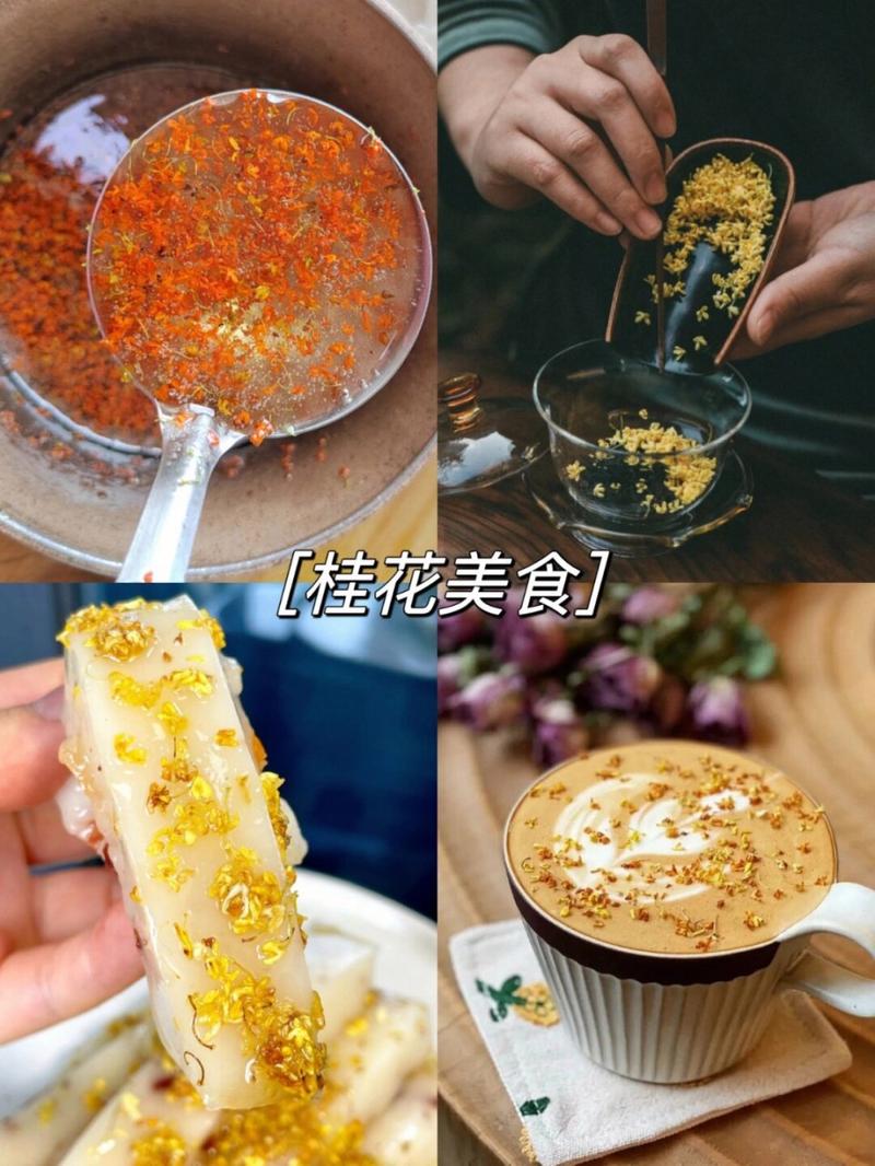 迪庆特产美食简介，云南省迪庆前十特产？  第6张