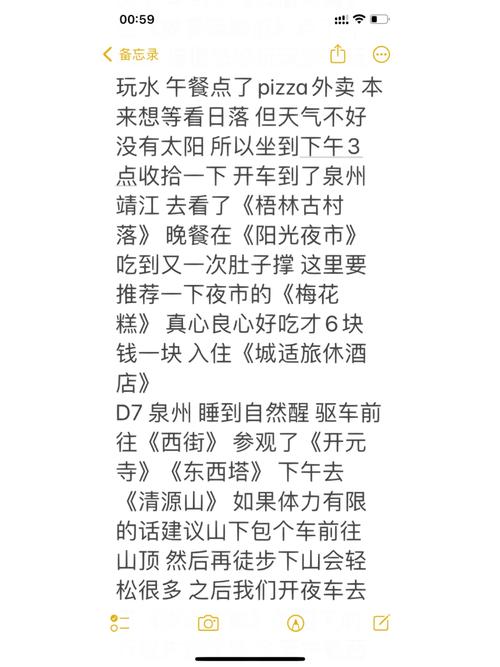 自驾车去上海能进去吗，外地牌照在上海怎么开  第5张
