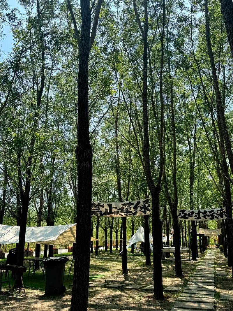 阜新阜蒙县天气预报，辽宁阜新蒙古族自治县天气？  第2张