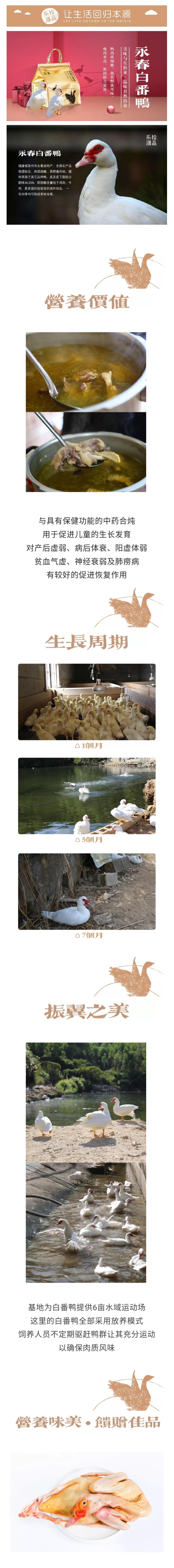 永春美食土特产品简介，永春特产有哪些土特产？  第5张