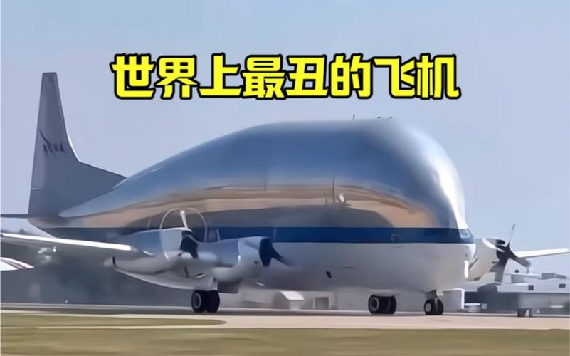 全球最怪异的飞机，世界前十怪异飞机？  第2张