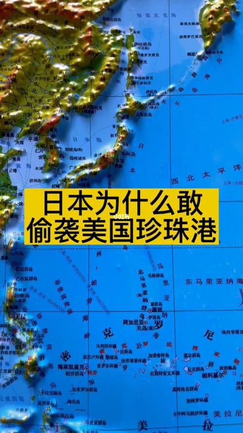 日本311塞头事件，日本311事件是头赛图钉视频？  第2张
