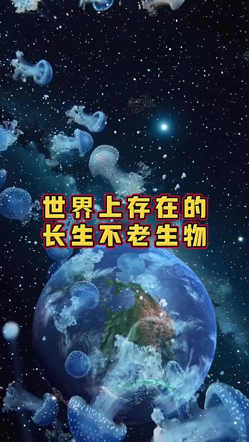 世界上最长的人？世界上最长的人工河道？  第3张
