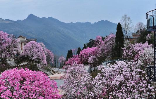 建昌药王庙天气预报，建昌药王庙天气预报查询  第4张