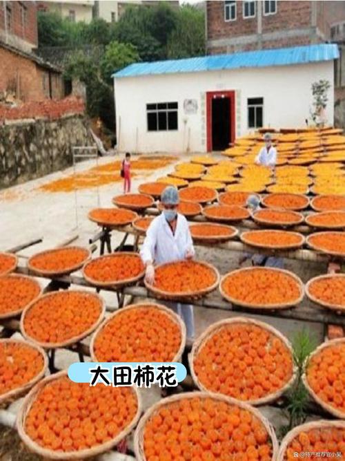 梅州美食特产简介，梅州前十特色美食攻略  第2张