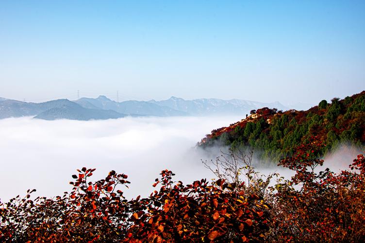 九龙山天气预报一周，九龙山天气预报一周7天  第4张
