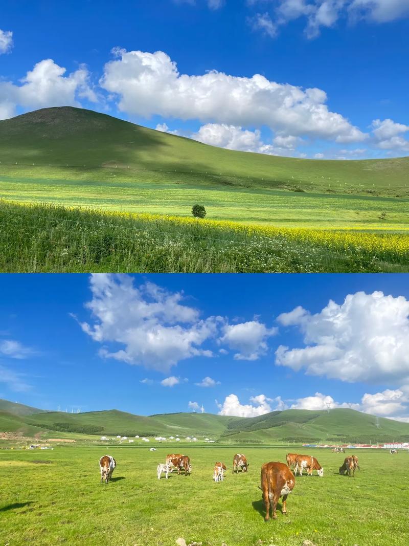 尚义三十天天气预报？尚义未来15天天？  第1张