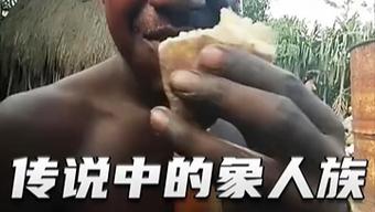 非洲象人族真实？非洲象人族真实大小图片？  第6张