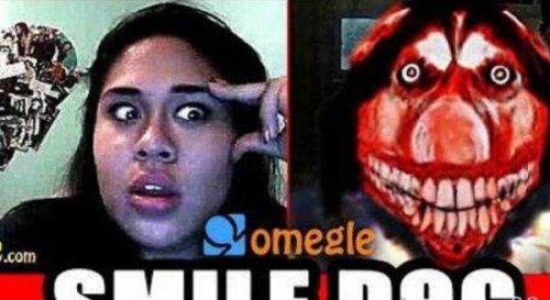 微笑狗图片吓人？微笑狗图片吓人大全？  第3张