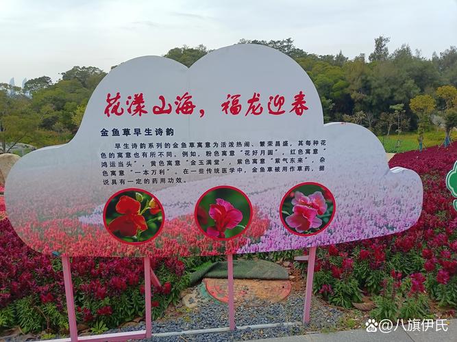 坪山天气预报30天？坪山天气预警？  第2张