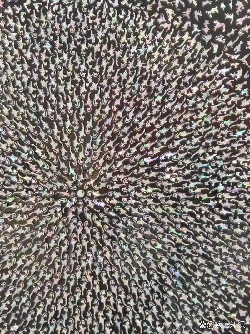 世界上最恐怖的图？世界上最恐怖的图片 真实？  第5张