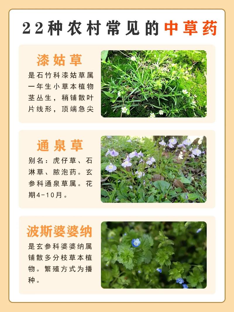 元江特产美食介绍，元江县特产介绍  第3张