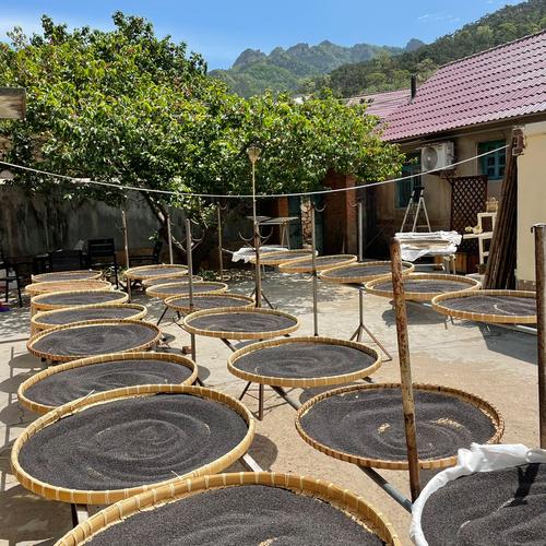 黑芝麻进入毛孔？黑芝麻堵住毛孔？  第6张