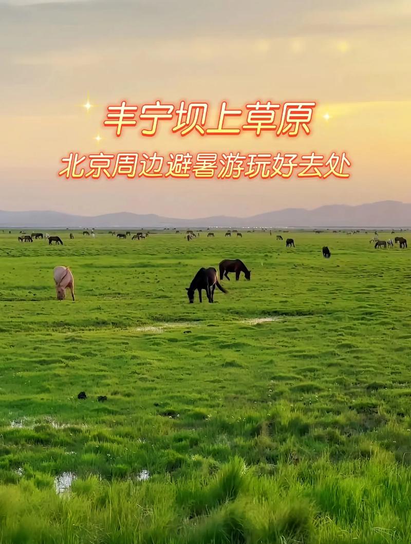 丰宁美食特产简介？丰宁美食特产简介图片？  第1张