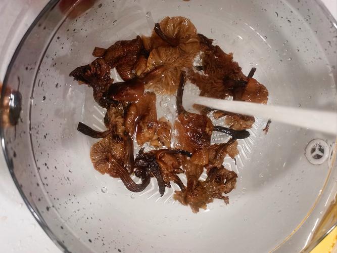 地方特色美食东北特产介绍，地方特色美食东北特产介绍图片？  第1张