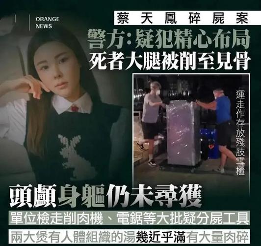 119碎尸案真相的简单介绍  第4张