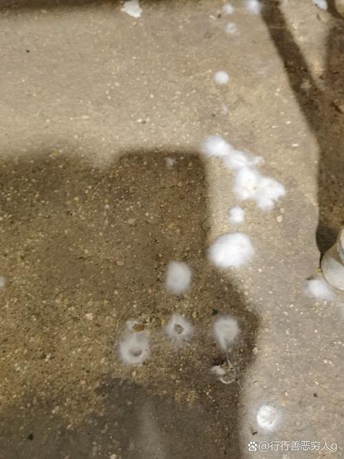 盘锦天气预报每小时？盘锦天气查询？  第1张