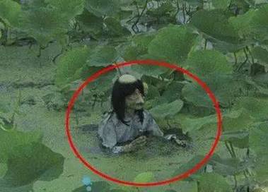 22个灵异常识，灵异常识500条  第3张