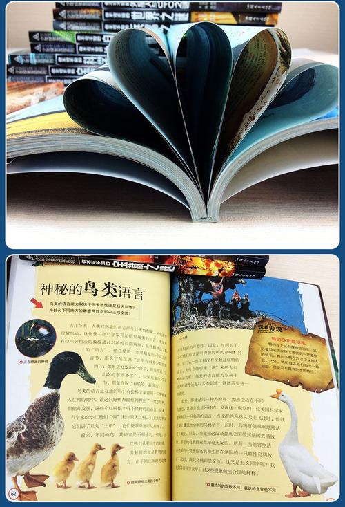 人类奇闻怪事书籍，人类史上奇闻异事  第1张