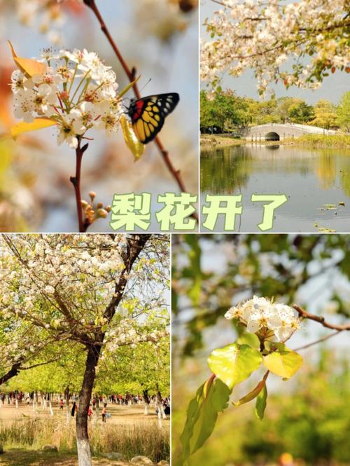 肇庆封开天气十五天，肇庆封开天气预报15天？  第3张