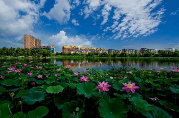 桦甸市四十天气预报，桦甸市天气预报2345  第2张