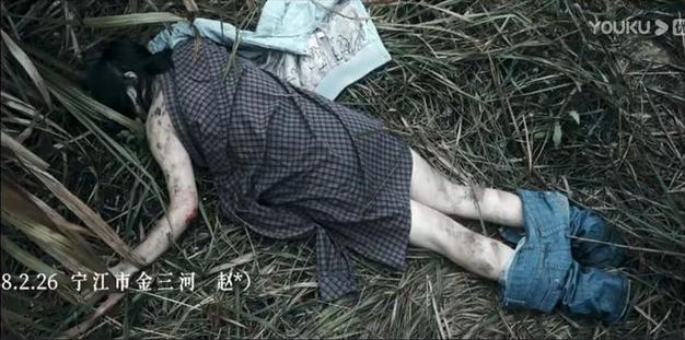 刁爱青碎尸案已破解，刁爱青碎尸案破解了吗？  第1张