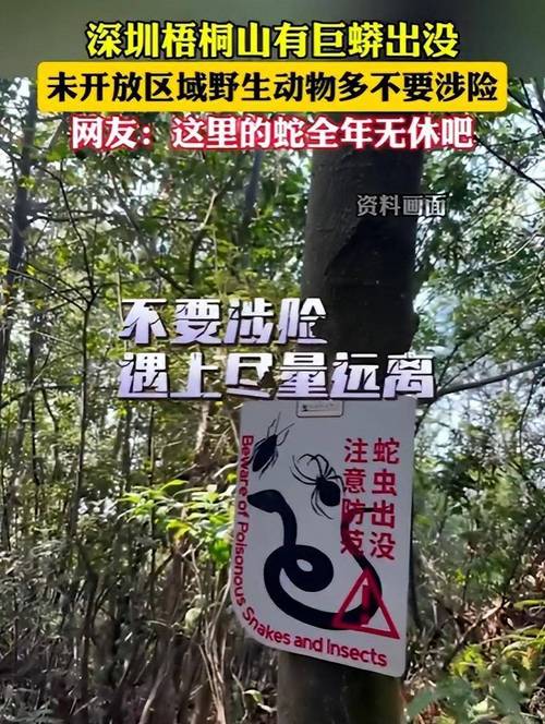 巨蛇事件是真的吗，你知道巨蛇吗？  第6张