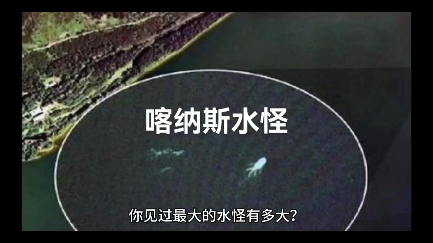 中国前十真实怪物，5个被拍到的怪物？  第2张