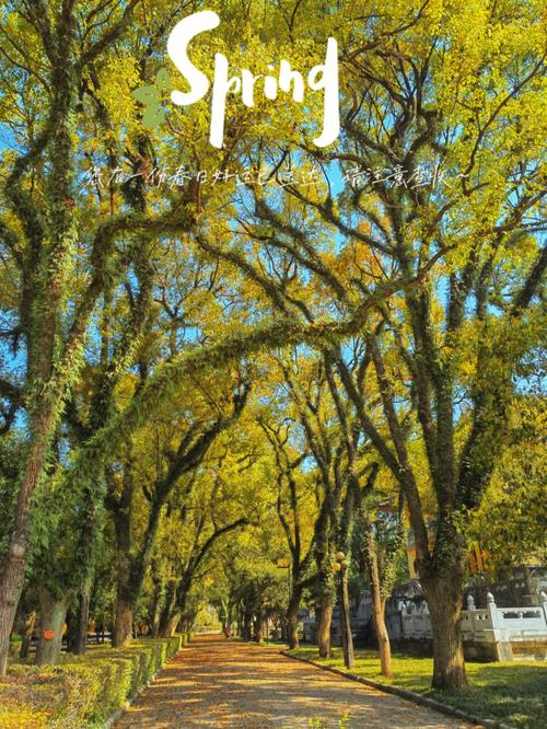 靖江市未来天气预报，靖江市未来天气预报30天？  第6张