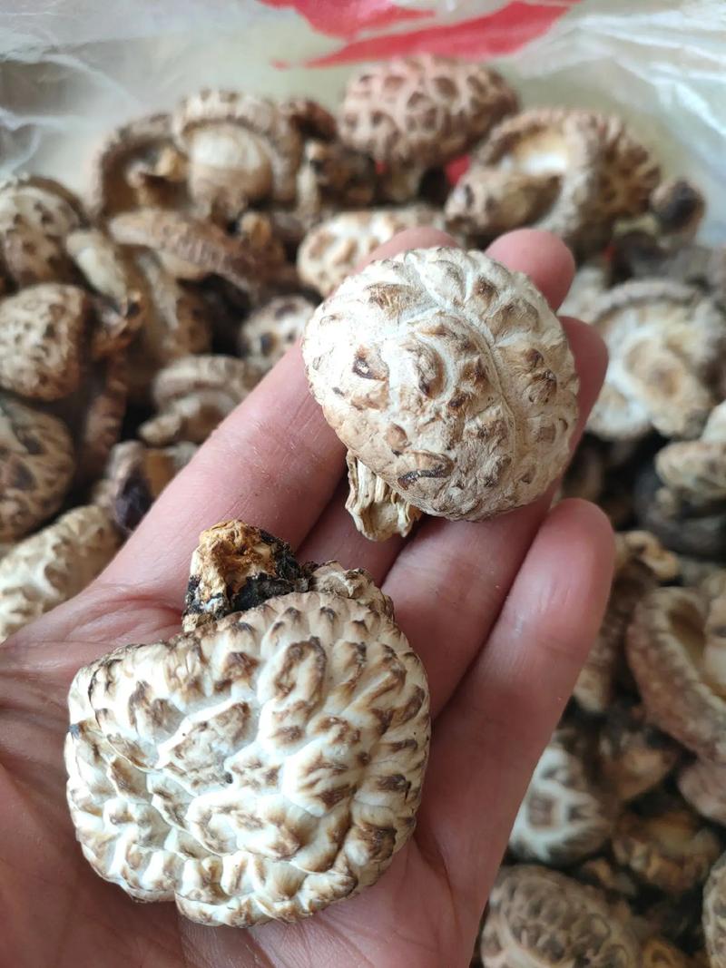 襄阳本地特色美食特产，襄阳特色美食推荐  第1张