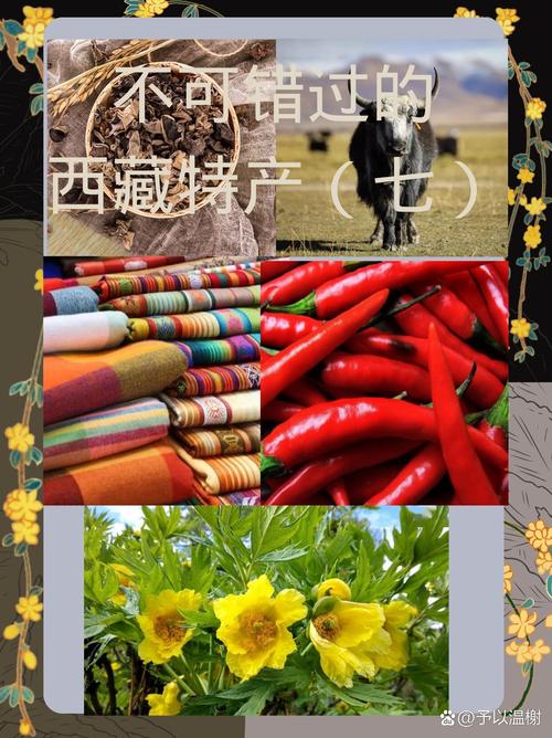 地方美食特产发展趋势？特色美食市场分析？  第2张