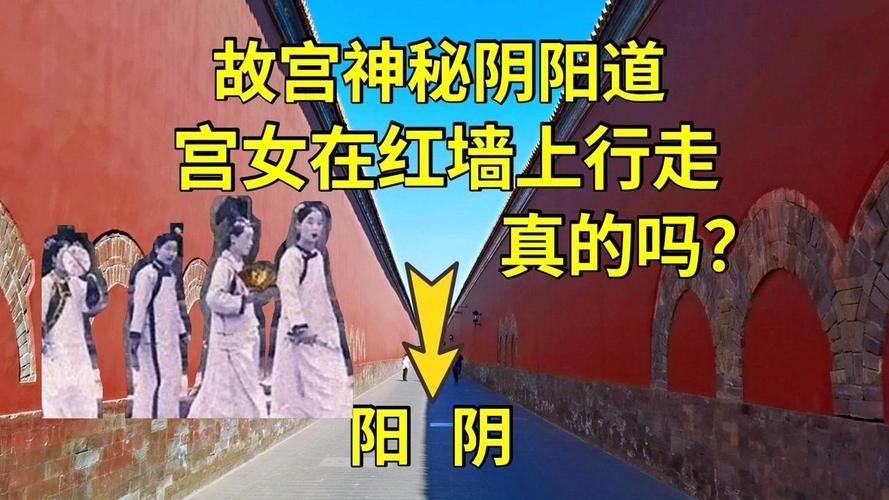 故宫宫女现身原照片，故宫宫女事件百科  第2张