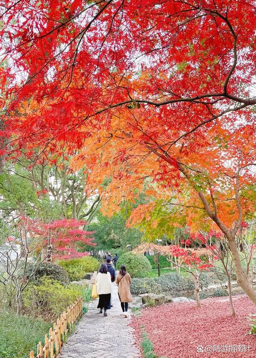 上海莘庄镇天气预报，闵行莘庄天气预报24小时  第3张