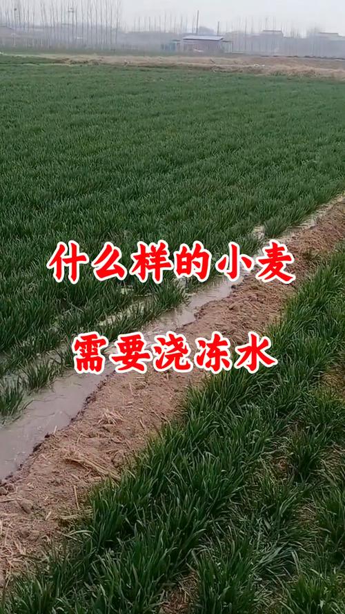 馆陶县天气预报小时，馆陶县天气预报30天  第5张