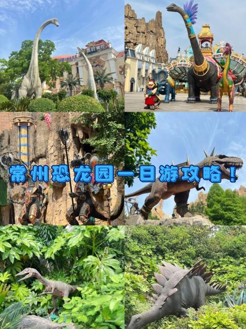 常州恐龙园明天天气？常州恐龙园暴雨天开放吗？  第4张