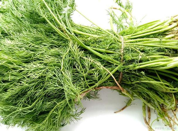 江西南昌地方美食特产？江西南昌的美食特产？  第1张