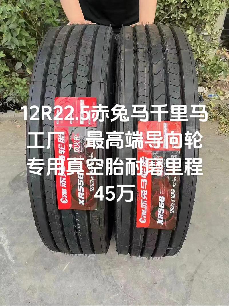 纯血马是什么意思，纯血马图片大全？  第4张