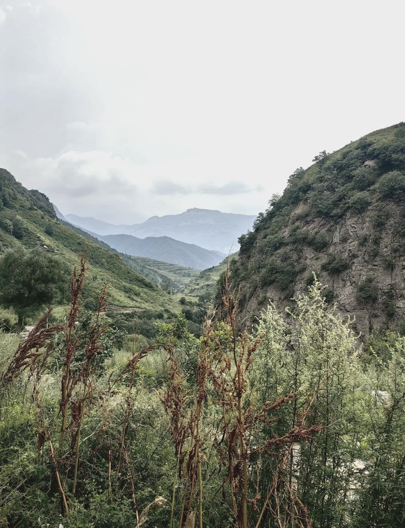 河北蔚县小五台天气？蔚县小五台山封山时间？  第1张