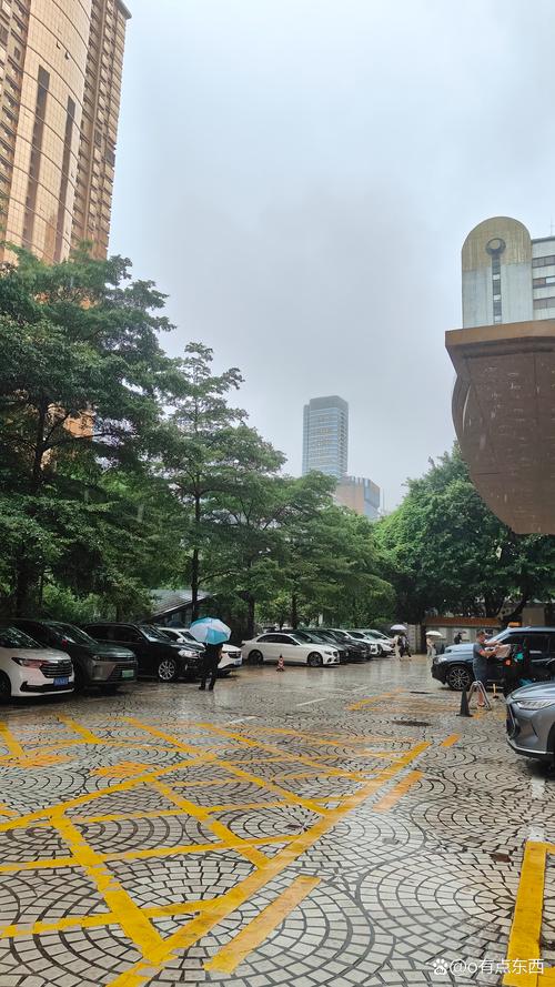 深圳19号天气情况，深圳19号天气预报  第3张