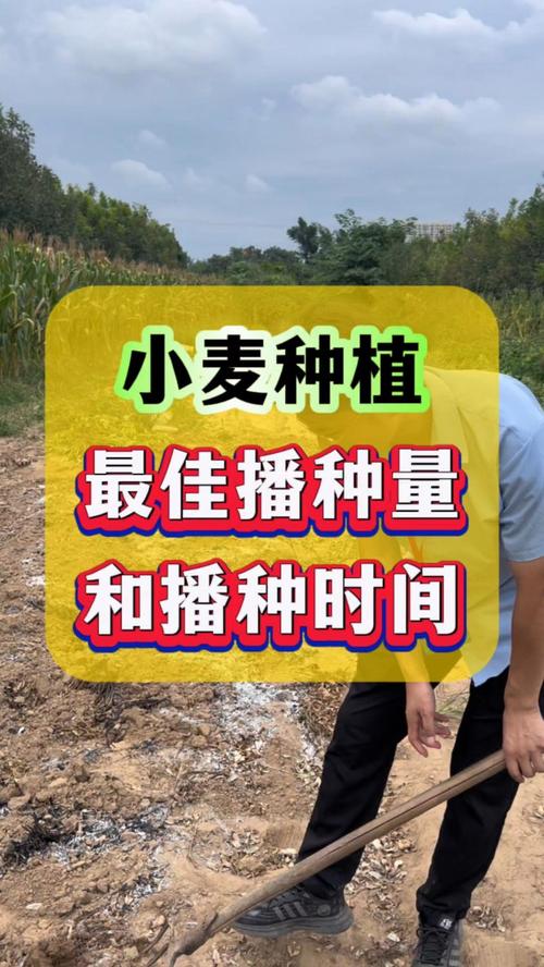柘城县最新天气情况，柘城县最新天气情况表  第5张