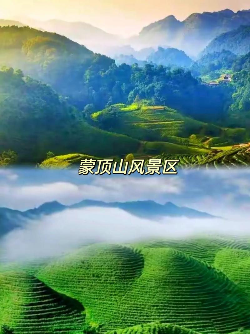 蒙顶山天气预报穿衣？四川蒙顶山温度？  第3张