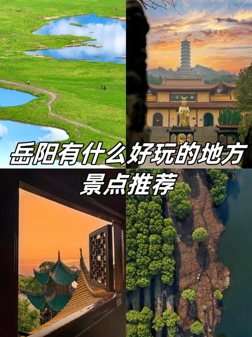 岳阳县特产美食推荐，岳阳县特产有哪些土特产  第4张