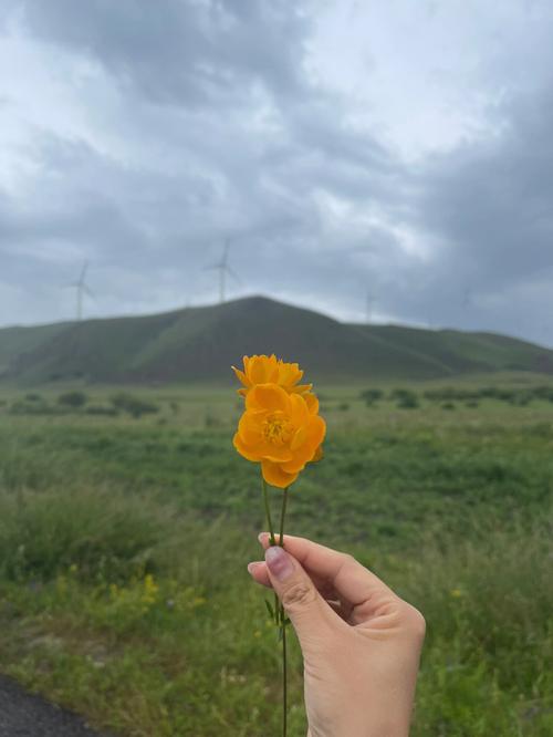 承德天气预报塞罕坝，承德塞罕坝草原天气  第6张