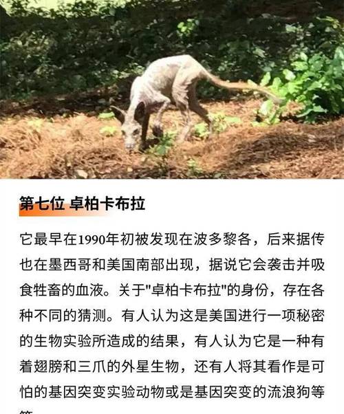 史上5大恐怖不明生物图片？史上五大恐怖生物？  第3张