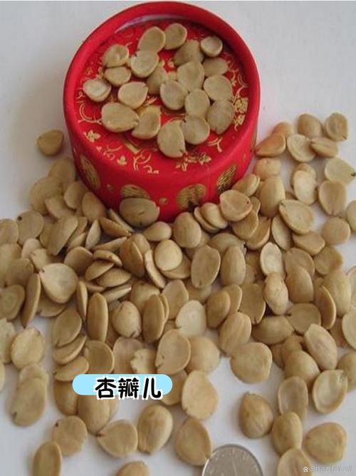 河曲县特产特色美食，河曲土特产小吃？  第5张